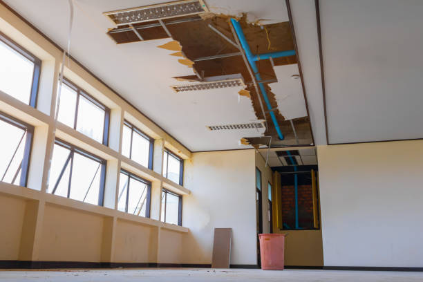 Best Basement water damage restoration  in The Village, OK