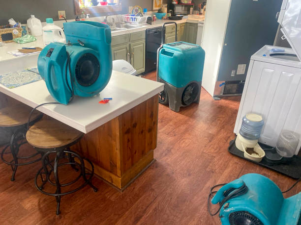 Best Water damage contractors near me  in The Village, OK
