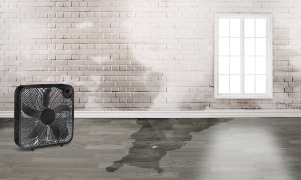 Reliable The Village, OK Water damage restoration Solutions
