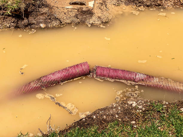 Best Flood damage cleanup  in The Village, OK