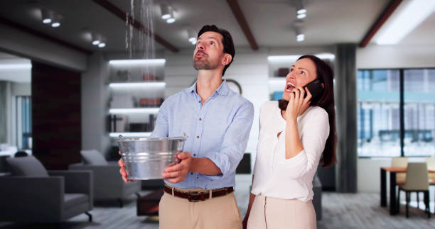 Best Professional water damage repair  in The Village, OK