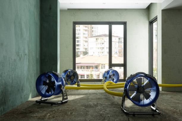 Best Water damage restoration specialists  in The Village, OK